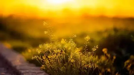 Faker再战三冠王：电竞传奇的历史挑战与展望